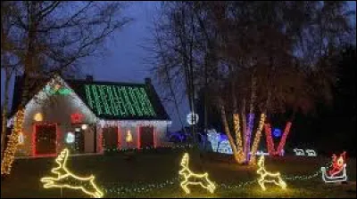 Nous sommes dans le jardin d'un particulier de La Fontaine-Saint-Martin. Commune des Pays-de-la-Loire, dans l'arrondissement de La Fl&egrave;che, elle se situe dans le d&eacute;partement ...