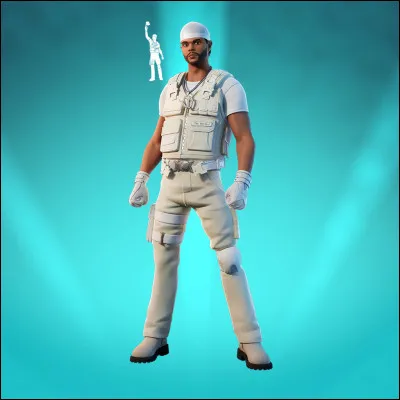 Quel est ce skin ?