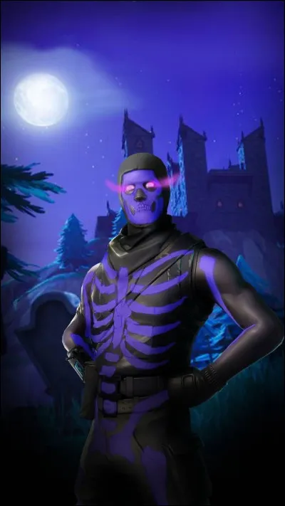 Quel est ce skin ?