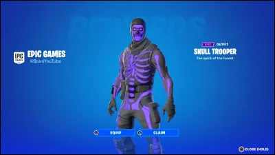 Quel est ce skin ?
