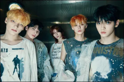 Si tu étais K-pop idol, tu serais :