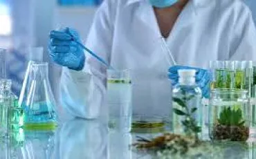 Quiz Science