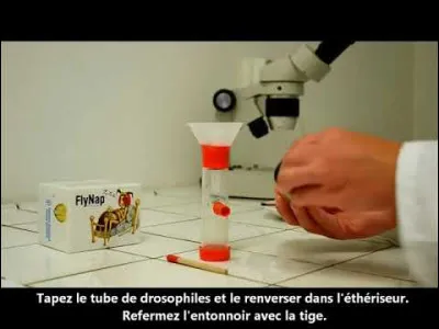 Qu'est-ce qu'un test cross ?