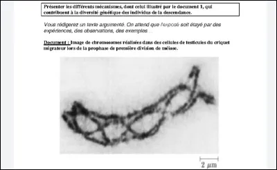 Passons à un sujet type bac : 
Quelles seraient vos grandes parties si le sujet tombait sur celui-ci ?