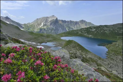 Tu t'appelles Ange (fille ou gars), tu as 16 ans, tu habites à Lyon et tu as décidé de faire une excursion camping sauvage à vélo, dans une réserve naturelle avec trois ami(e)s. Qu'achètes-tu en priorité ?