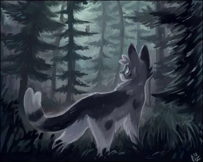 Qui est le 9e guérisseur du Clan de la Rivière.