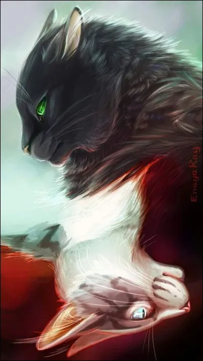 Qui était le mentor de Nuage de Lac (Lac de Givre) ?