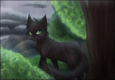 Qui est le personnage mystère ?