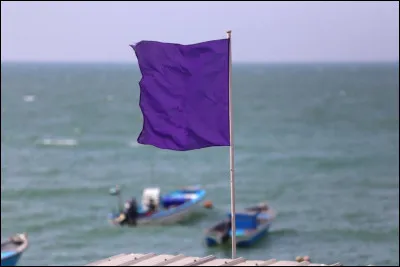 Quelle est la couleur du drapeau qui indique une pollution de l'eau et risque de baignade ?