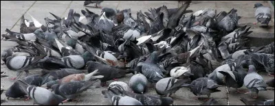 En arrivant sur le marché français cet été, quel objectif en nombre d'abonnés s'est fixé DAZN pour rentabiliser son investissement ?