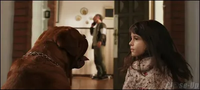 Lequel de ces films d'horreur est argentin, radical et dure moins d'une heure 40 ?