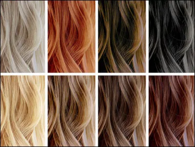 Quelle est la couleur de tes cheveux ? (roux = orange ; blond = jaune ; châtain = marron clair ; brun = marron foncé ; noir = noir ; blanc = blanc ; gris = gris )
