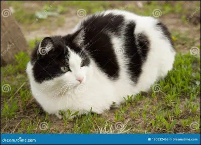 Quest-il maintenant ?