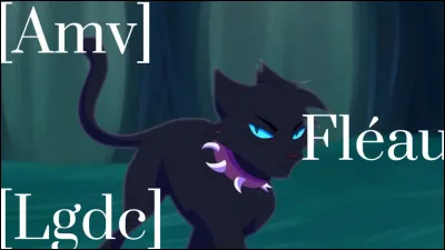 Quont-ils fait de mal ?