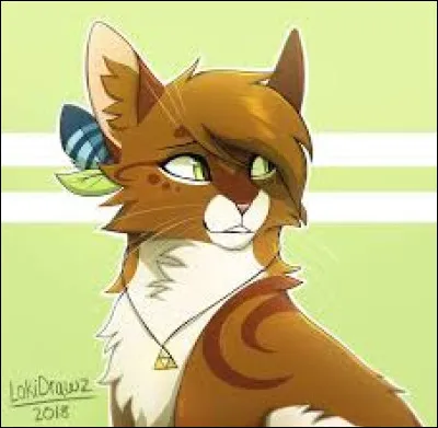 Bon, passons les clans et on part sur un thème chaton ! 
Qui sont ceux de Poil d'Écureuil ?