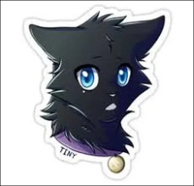 Et pour finir, je suis un(e) "traître(sse)" qui a tué quelqu'un pour la bonne cause :