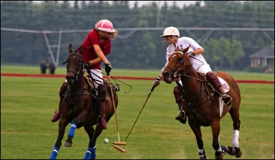 Que préférez-vous faire à cheval ? (3)