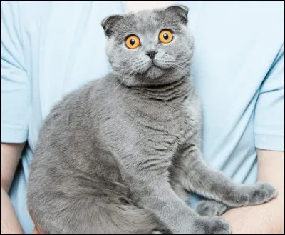 Quel sorte de nom préfères-tu ?