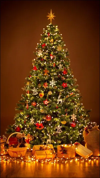 Ta maison est-elle décorée ?