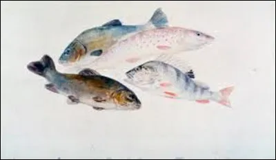 Quel romantique a réalisé cette huile nommée ''Étude de poissons : deux tanches, une truite et une perche'', entre 1822 et 1824 ?