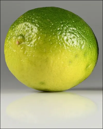 Ne crie pas si elle est sourde, c'est la...