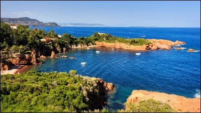 Quand l'arbre fleurit-il, notamment sur la côte d'Azur ?
Retrouvez le bon chiffre correspondant au mois de la "purification'' selon les Latins.