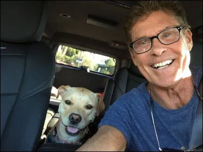 Qui adore les chiens ?