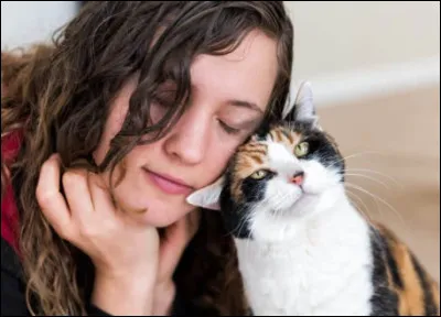 Quelle technique aide un chat stressé par la séparation ?