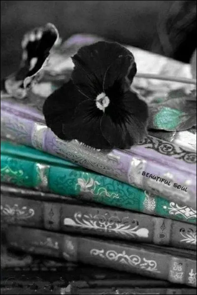 À quel écrivain doit-on "La Mariée était en noir" ?