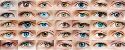 Et tes yeux sont...
