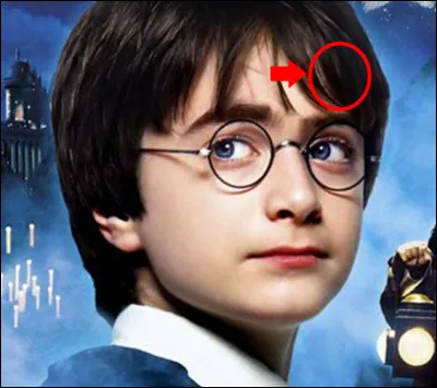 Imagine : Harry Potter a reçu avec sa cicatrice du mauvais côté, le monde est tout chamboulé ; dans quelle maison est-il arrivé ?