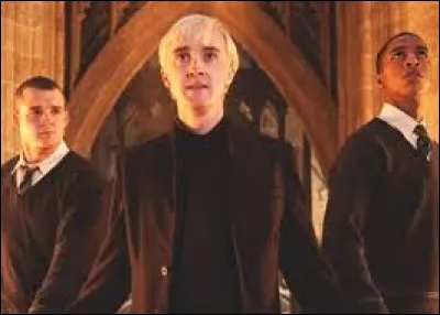 Vrai ou faux ? Harry va sauver la vie de Drago en septième année.