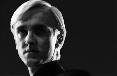 Qui voient-ils en train de boire du sang de licorne, dans la forêt ?