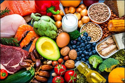 Quel est le r&ocirc;le principal de la nutrition ?