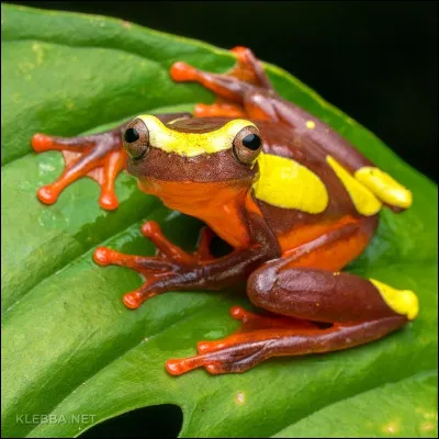 Qui s'effectue sans échange de chaleur !