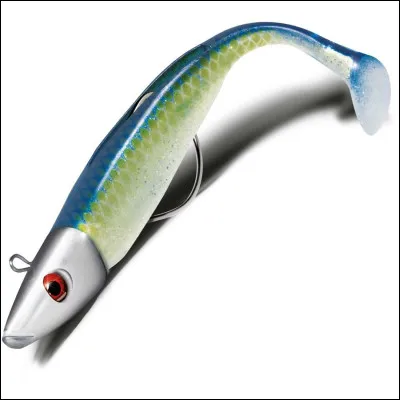 Poisson carnassier d'Amérique du Sud, chasseur à l'affut !