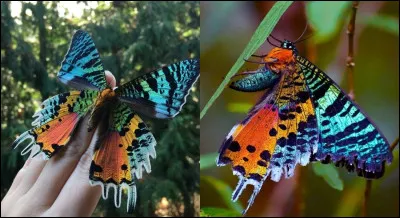 Gestion des comptes clients d'une entreprise par un organisme extérieur !