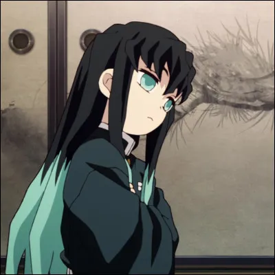 6 : Muichiro Tokito 
A quel âge sest-il retrouvé totalement seul ?