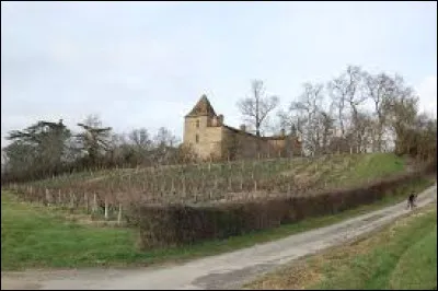 Je vous emmène en Occitanie, au château de Reveillon, à Mirepoix. Village de l'aire d'attraction Auscitaine, traversé par l'Aulouste, il se situe dans le département ...