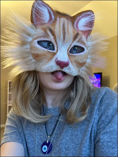 Pour toi, que sont les therians ?