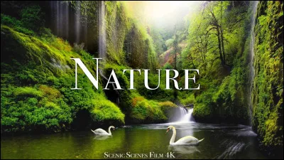 Vas-tu souvent dans la nature ?