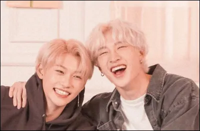 Qui sont ces deux garçons ?