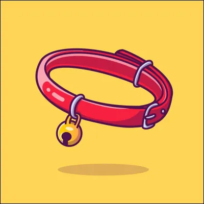 Quel nom de chat préfères-tu avoir ?