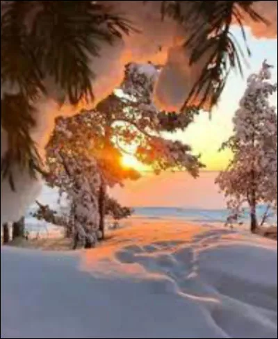 Je suis toujours devant tout le monde, mais personne ne peut me voir. Qui suis-je ?