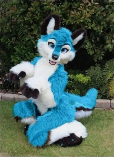 Aimes-tu le cosplay (déguisement) ?