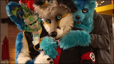 Est-ce que tu sais ce qu'est un furry ?