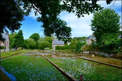 Laquelle de ces fiancailles n'est pas de Barbara Cartland ?