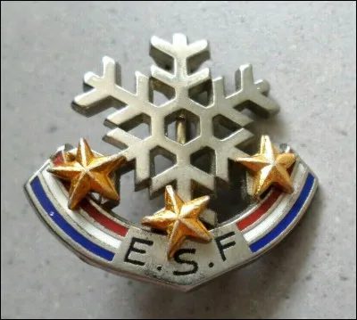 Quel est le premier niveau avec l'école de ski alpin ?