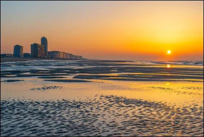 En quelle année la Déclaration d'indépendance de la Belgique a-t-elle été proclamée ?