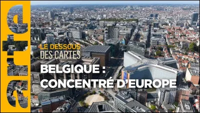 &Agrave; quel ecrivain belge doit-on le roman intitul&eacute; "Le Chien jaune" ?